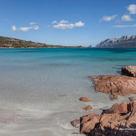 Aria Di - Raffaello Porto San Paolo (Sardinia)